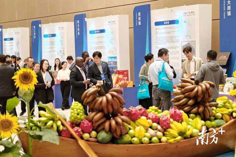 零售批发选购指南：打造高效购销流程